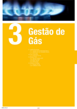 GESTÃO DE GÁS